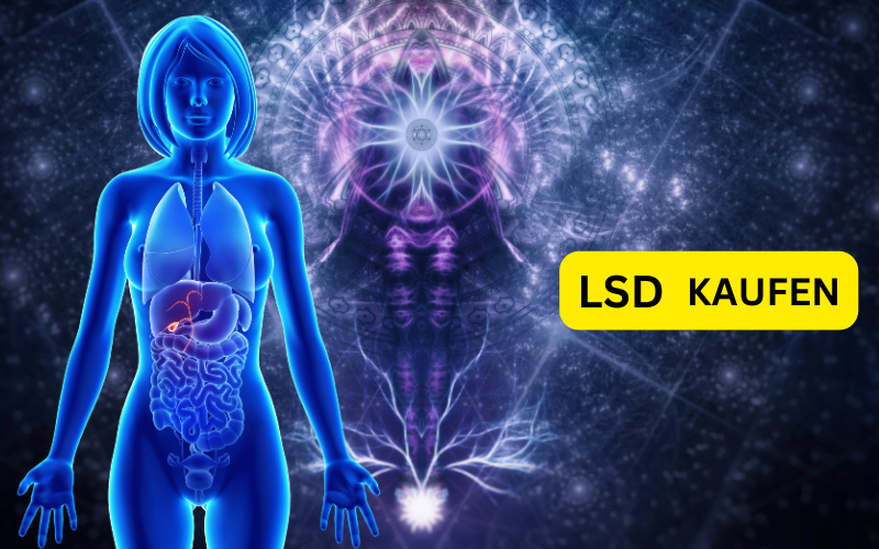 LSD und Spiritualität