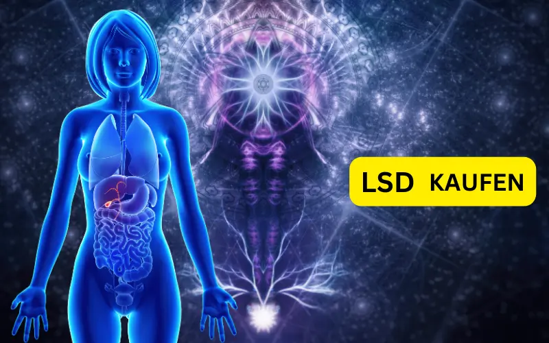 LSD und Spiritualität erforschen