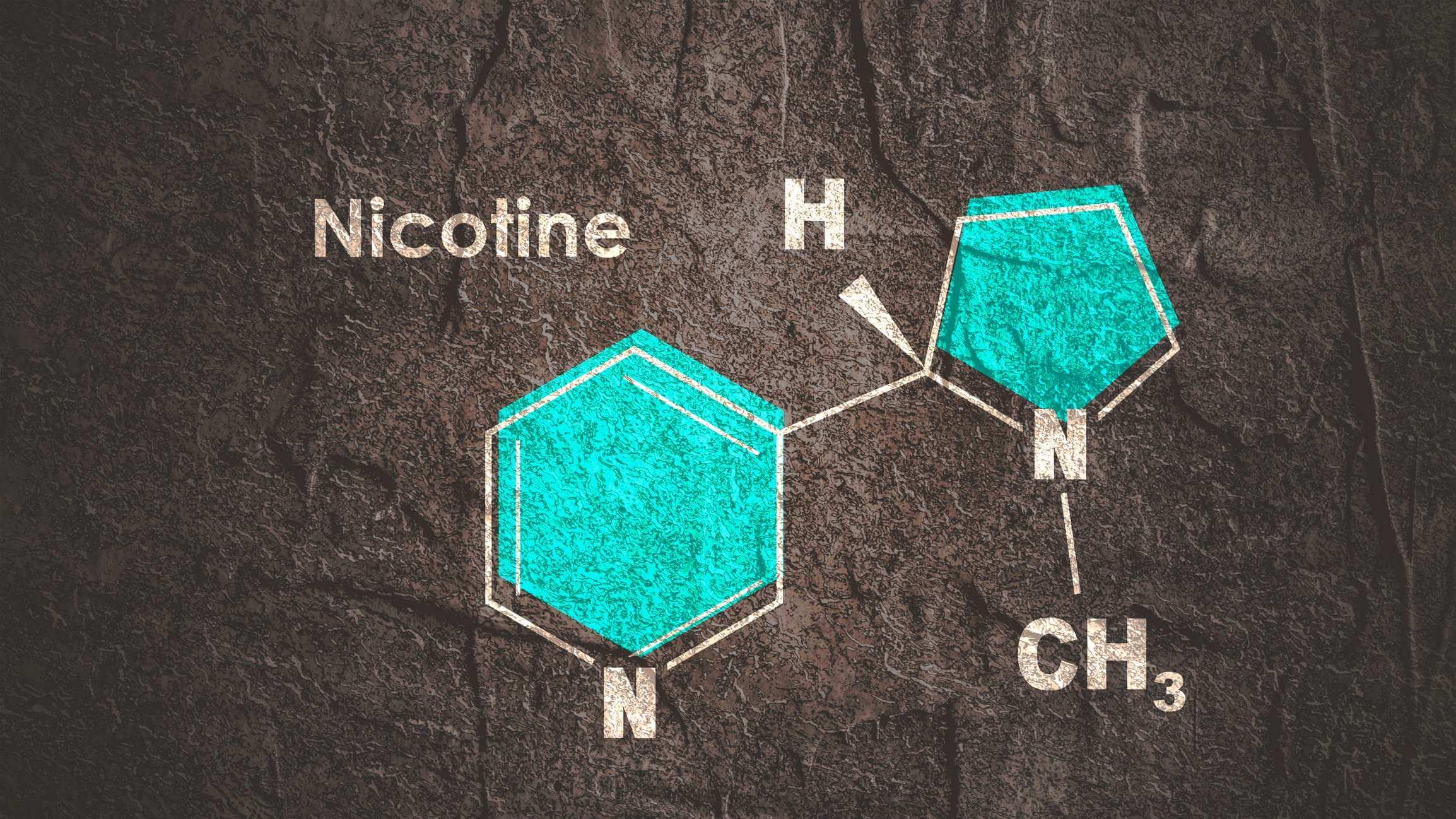 lsd und nikotin