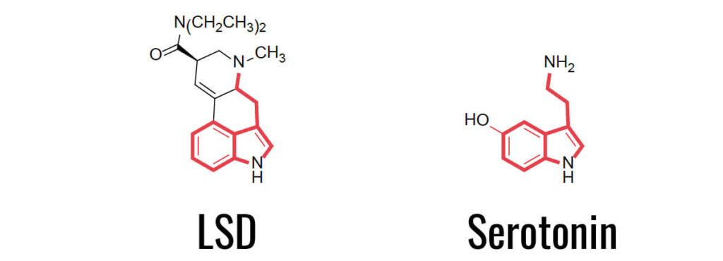 lsd und serotonin