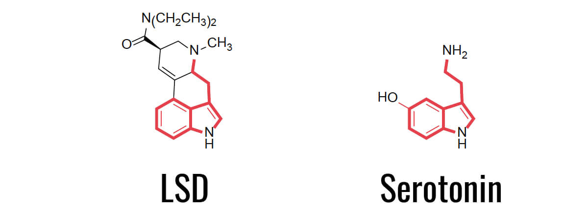 lsd und serotonin