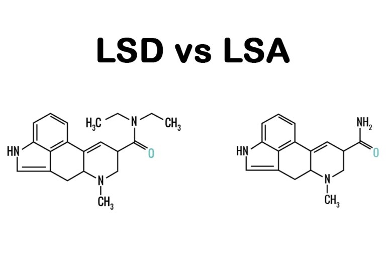 lsd vs lsa